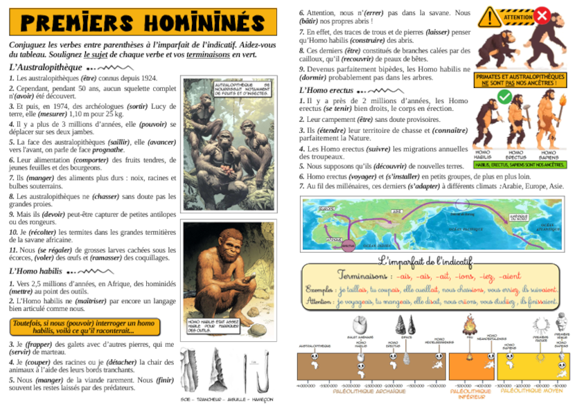 Premiers homininés