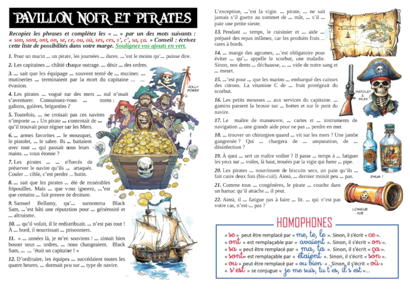 La Piraterie